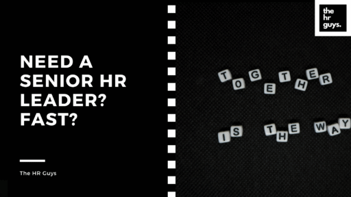 Need a Senior HR Leader? Fast?