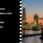 A Different Kind of HR Project for a Senior HR/Talent Consultant